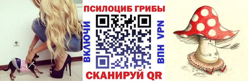 Псилоцибиновые грибы Psilocybine cubensis  купить наркоту  мега онион  Переславль-Залесский 